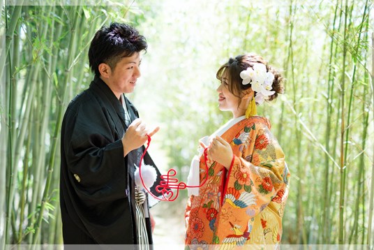 竹林は冬でも緑!