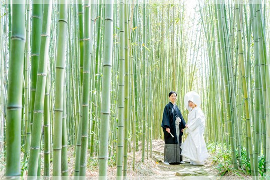 人が少ない竹林公園での撮影!