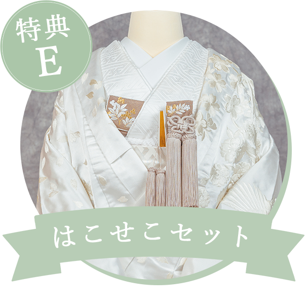 はこせこセット