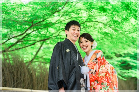 新緑の季節で緑が美しい!