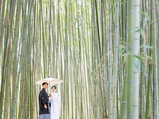 洛西竹林公園-03