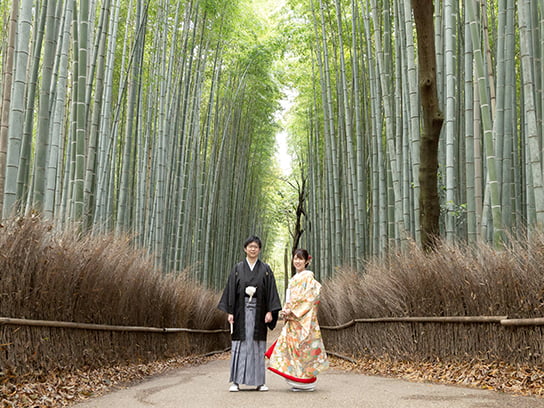 嵯峨野の竹林-02