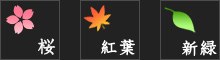 シーズン