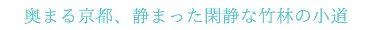 美しい白川の流れ、風情ある古橋