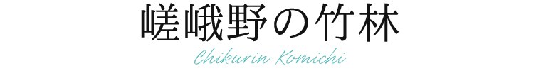 祇園白川の巽橋
