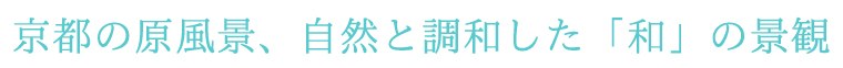 茶屋町の雰囲気を味わえる京の道