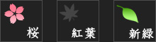 シーズン