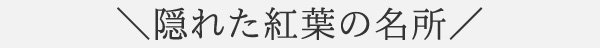 隠れた紅葉の名所