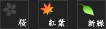 シーズン