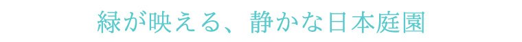 緑が映える、静かな日本庭園