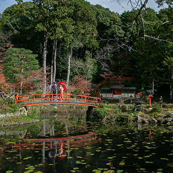 大原野神社の前撮り-03