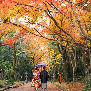 大原野神社の前撮り-05