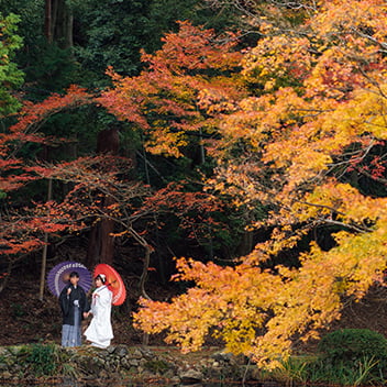 大原野神社の前撮り-06