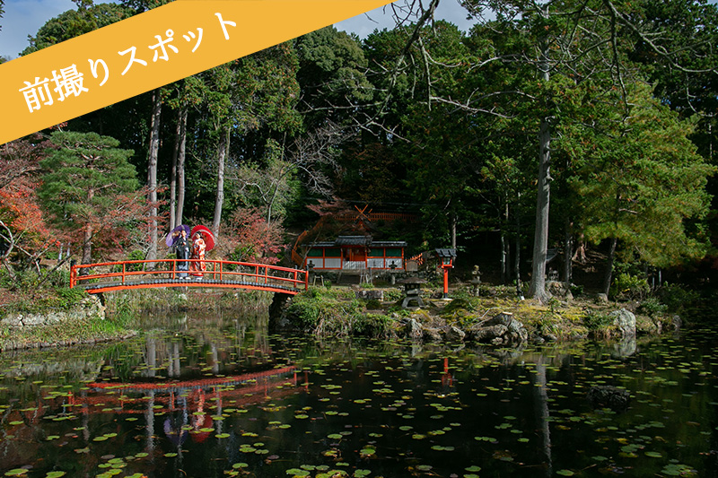 大原野神社の鯉沢の池で前撮り
