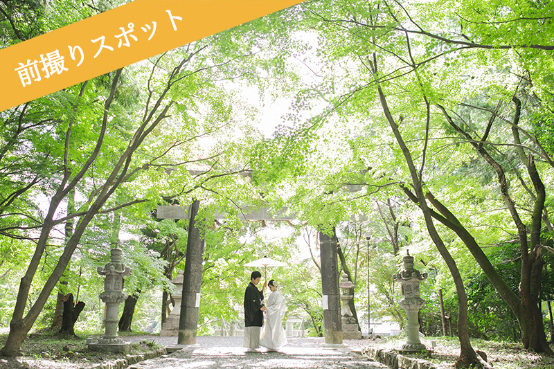 大原野神社の鳥居と社殿で前撮り