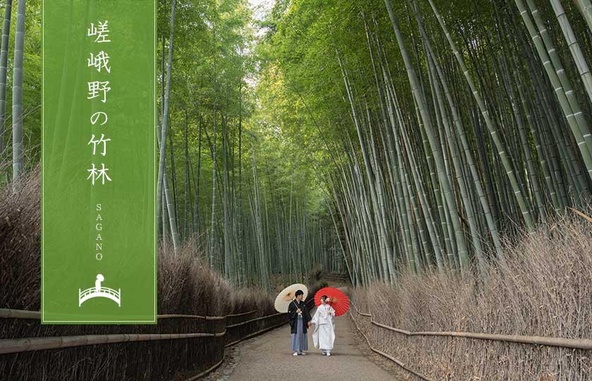 嵯峨野の竹林での前撮り