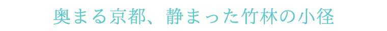 奥まる京都、静まった竹林の小径