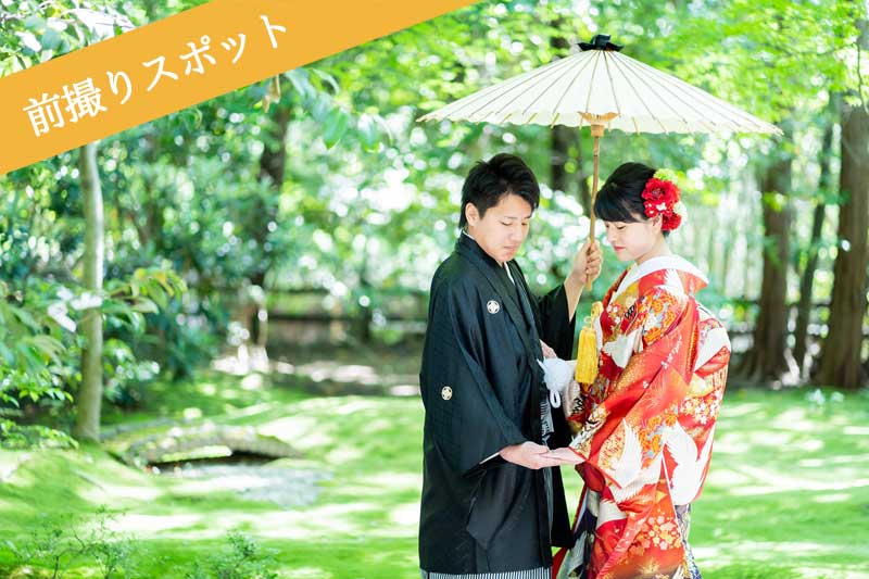 野宮神社の苔庭