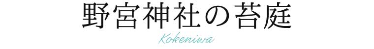 野宮神社の苔庭