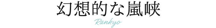幻想的な嵐峡