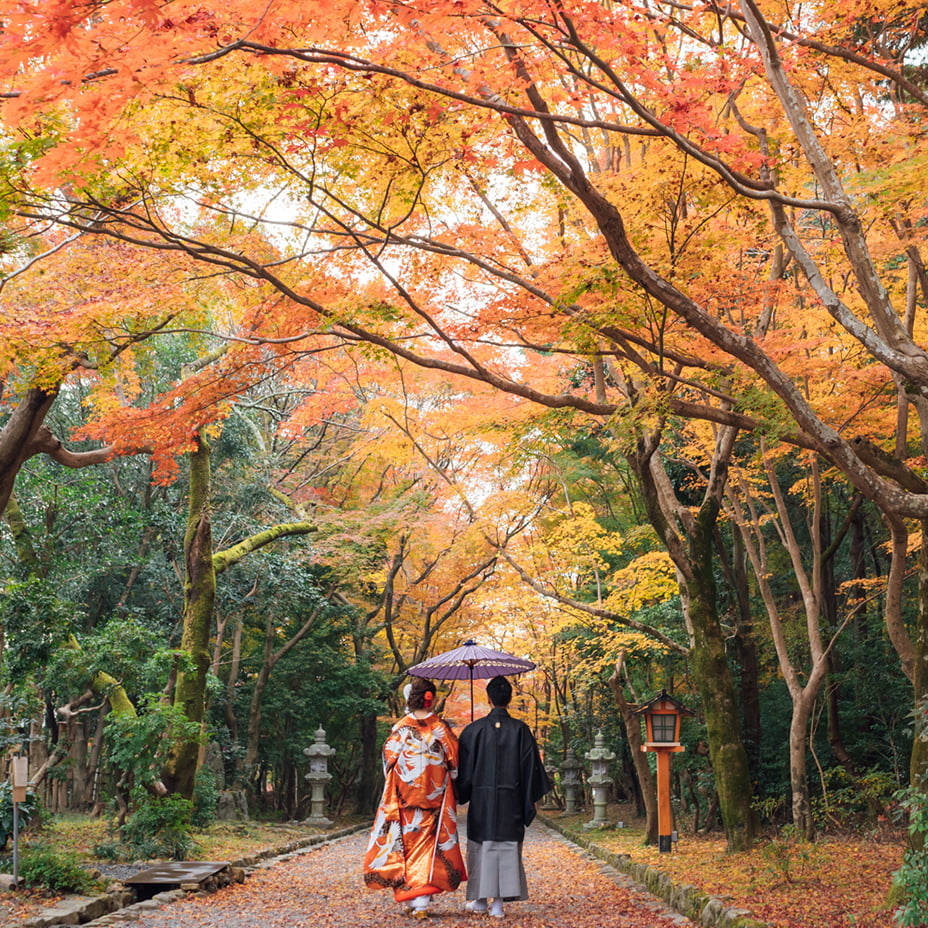 秋の紅葉の和装前撮り-02