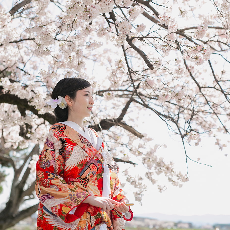 春の和装前撮り-03