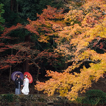 秋・紅葉の和装前撮り-13