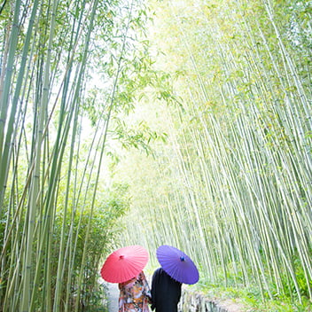竹林の前撮り-07