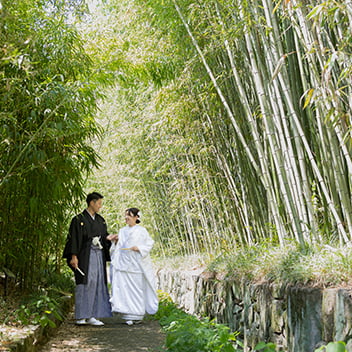 竹林の前撮り-06