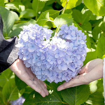 新緑の前撮り-15