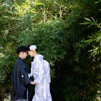 竹林の前撮り-12