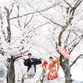 【春の桜編】京都の和装前撮りガイド