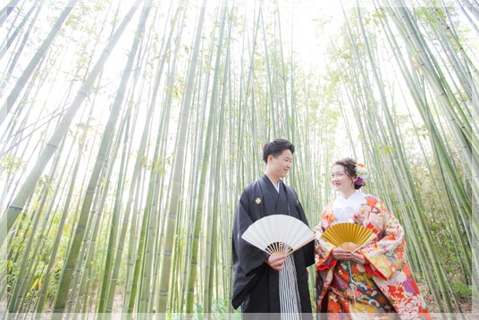 一年で一番竹林が美しい季節に撮れる!