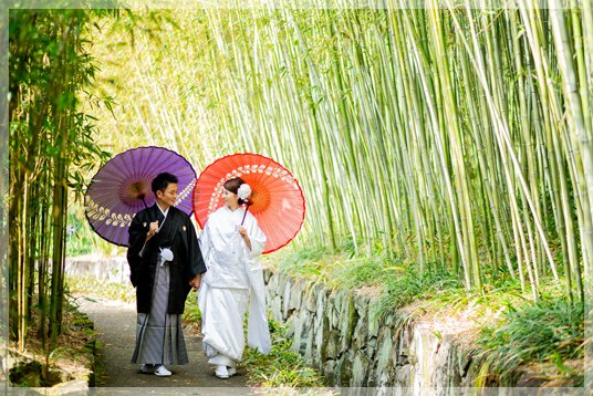 人が少ない竹林公園での撮影!