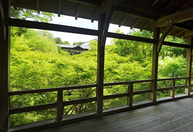 京都前撮りのロケ地「東福寺」