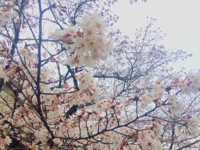 春のにおい