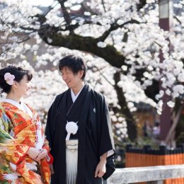 京都らしさあふれる祇園の桜で前撮り。