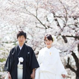 桜をバックに春の京都前撮り