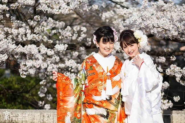 祇園での前撮り・桜