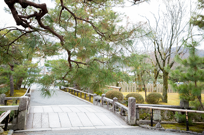 新たに前撮りロケ地 大覚寺 を追加しました ブログ 京都前撮り 京wedding