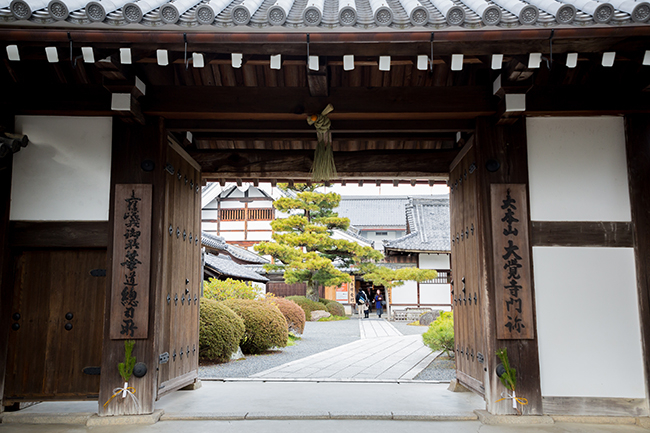 新たに前撮りロケ地 大覚寺 を追加しました ブログ 京都前撮り 京wedding