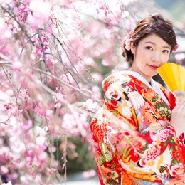 春の京都は桜が美しい！和装前撮りするならココ！