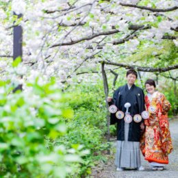 超狙い目！４月中旬の京都で桜で和装前撮り！