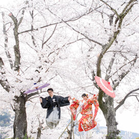 【春の桜編】京都の和装前撮りガイド