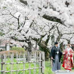 春の京都桜前撮り2022年総括！今春もありがとうございました＊