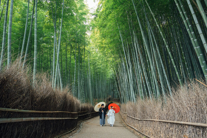 嵯峨野の竹林で和装前撮り