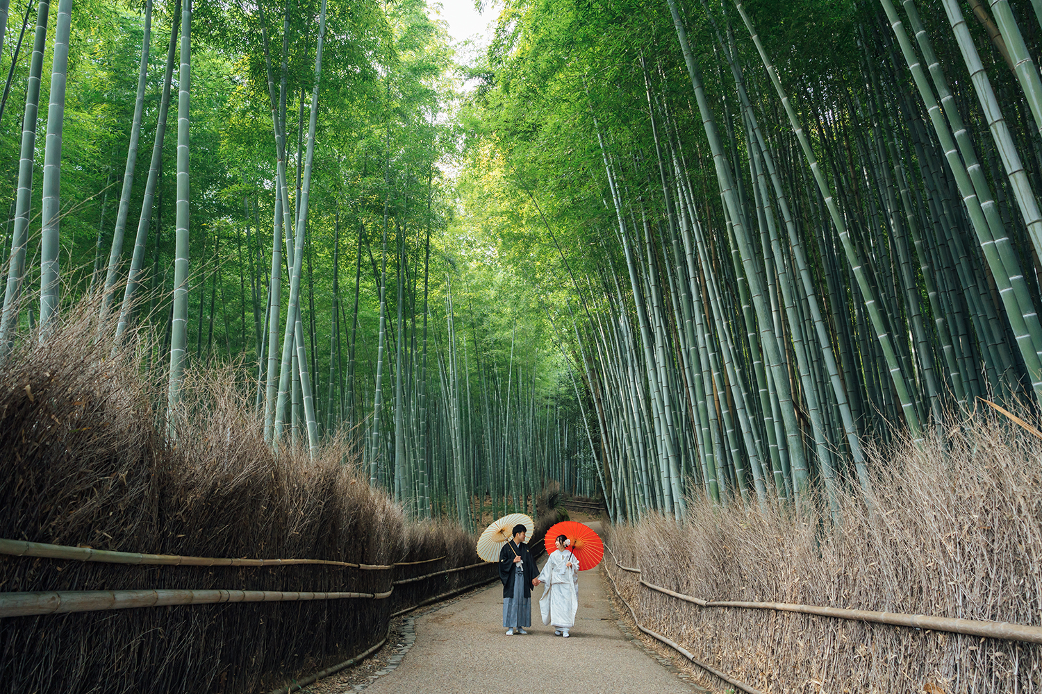 嵯峨野の竹林で和装前撮り