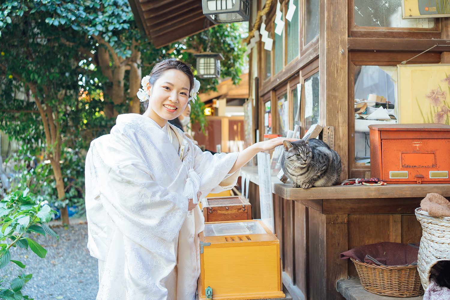 梅宮大社の猫と和装前撮り