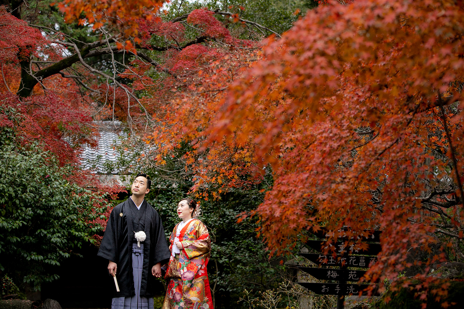 紅葉の梅宮大社で和装前撮り