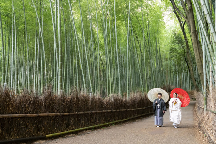 嵯峨野の竹林で和装での前撮り